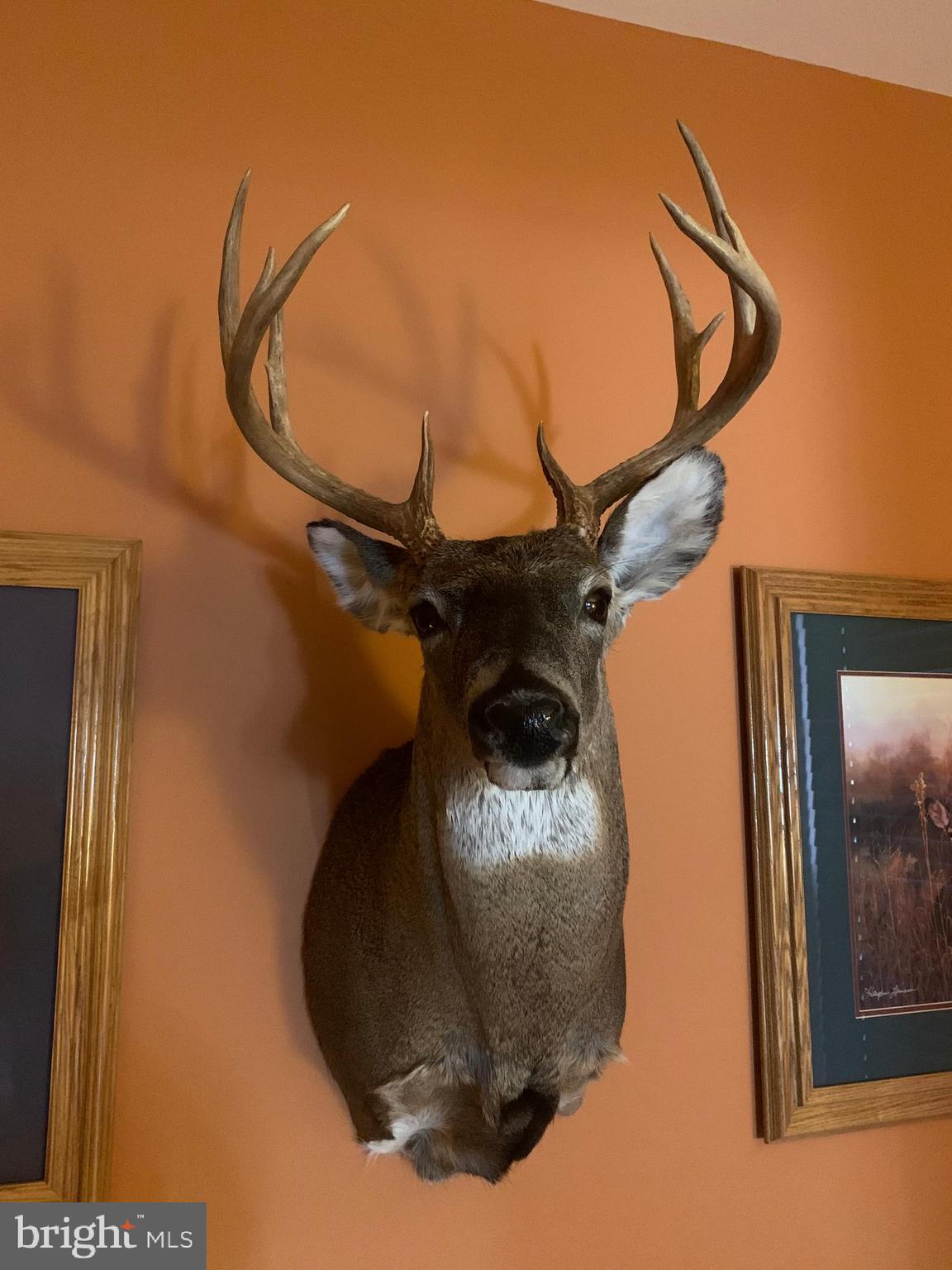 SHADOW KNOLLS - Residential