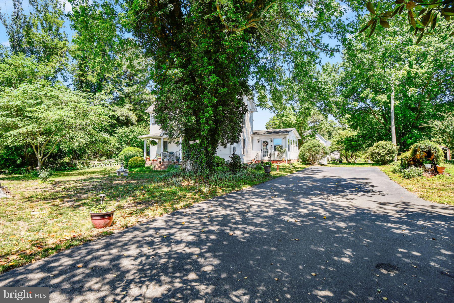 11409 BACK CREEK ROAD