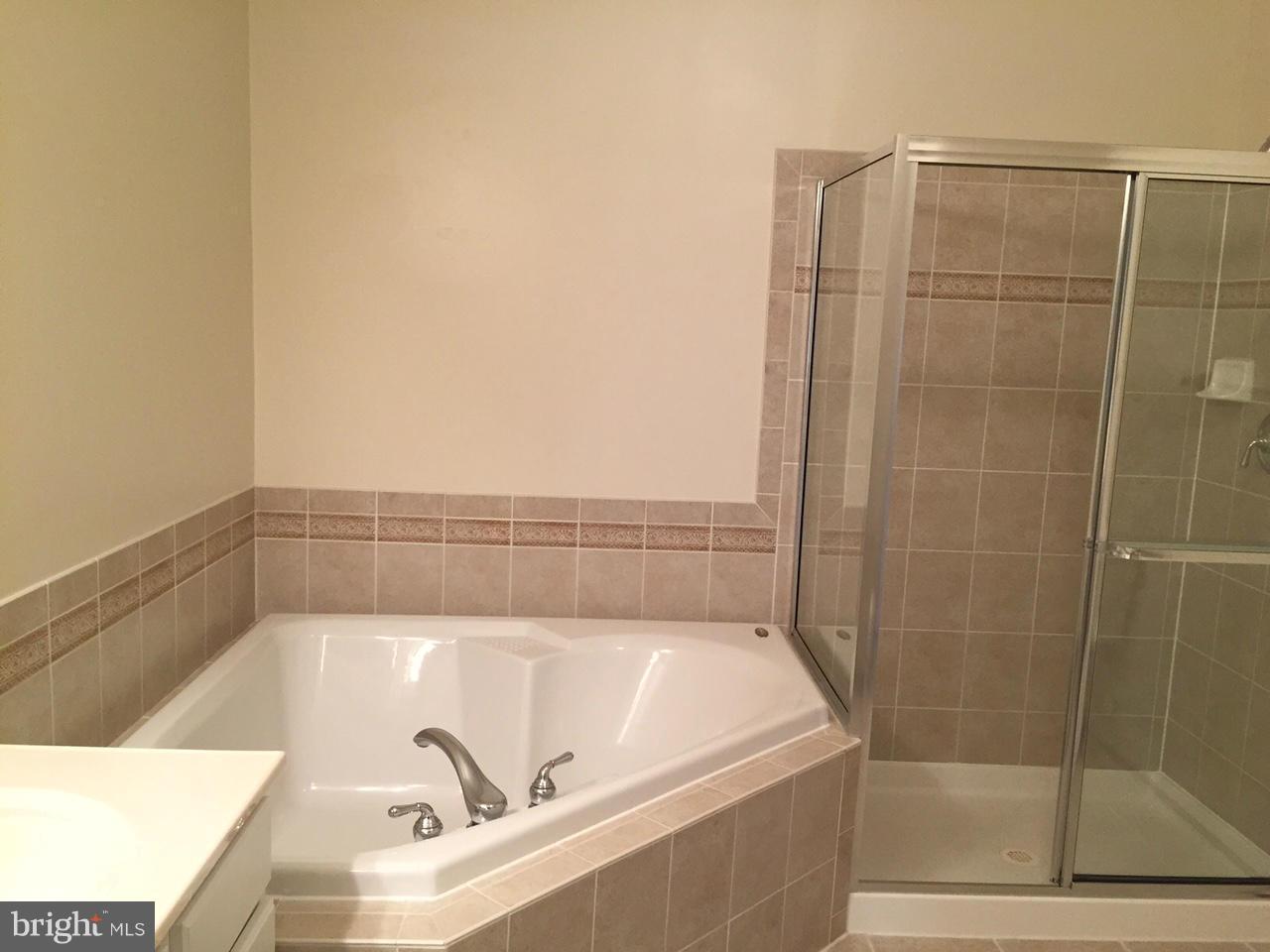 LAKESIDE TOWN CENTRE CONDOMINIUM - Residential Lease