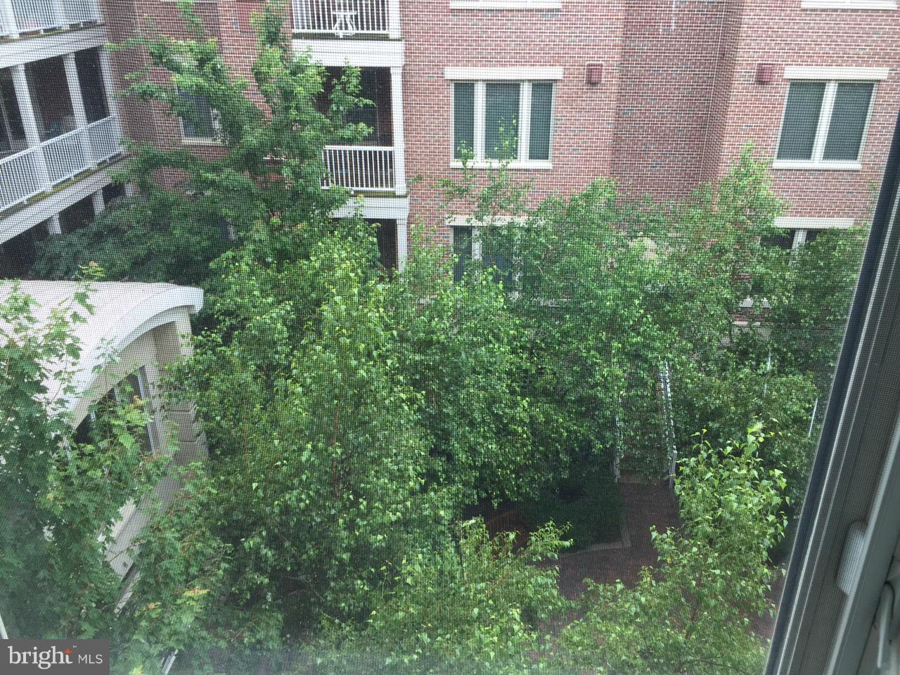 LAKESIDE TOWN CENTRE CONDOMINIUM - Residential Lease