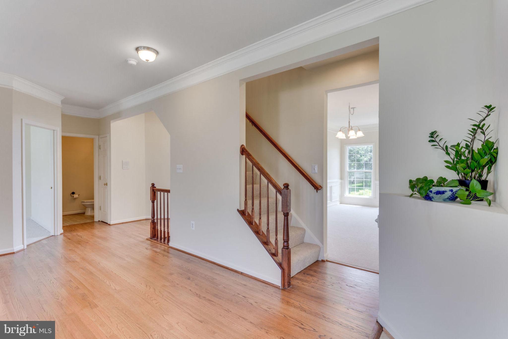 ASHLEY RIDGE - Residential