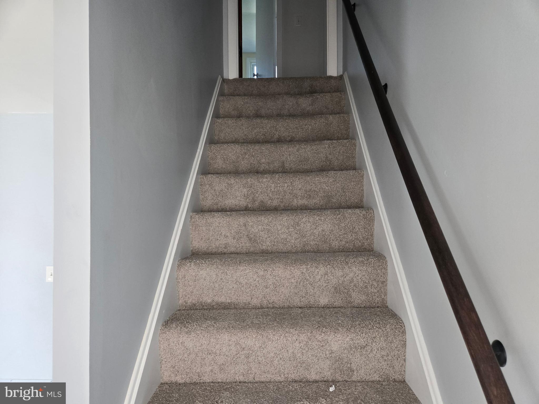 SHAMROCK - Residential