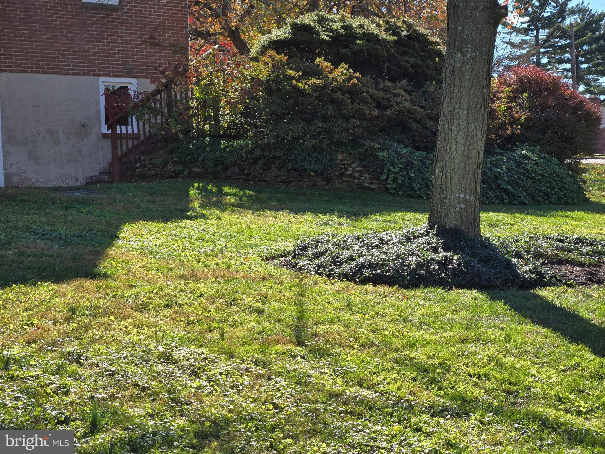 SHAMROCK - Residential