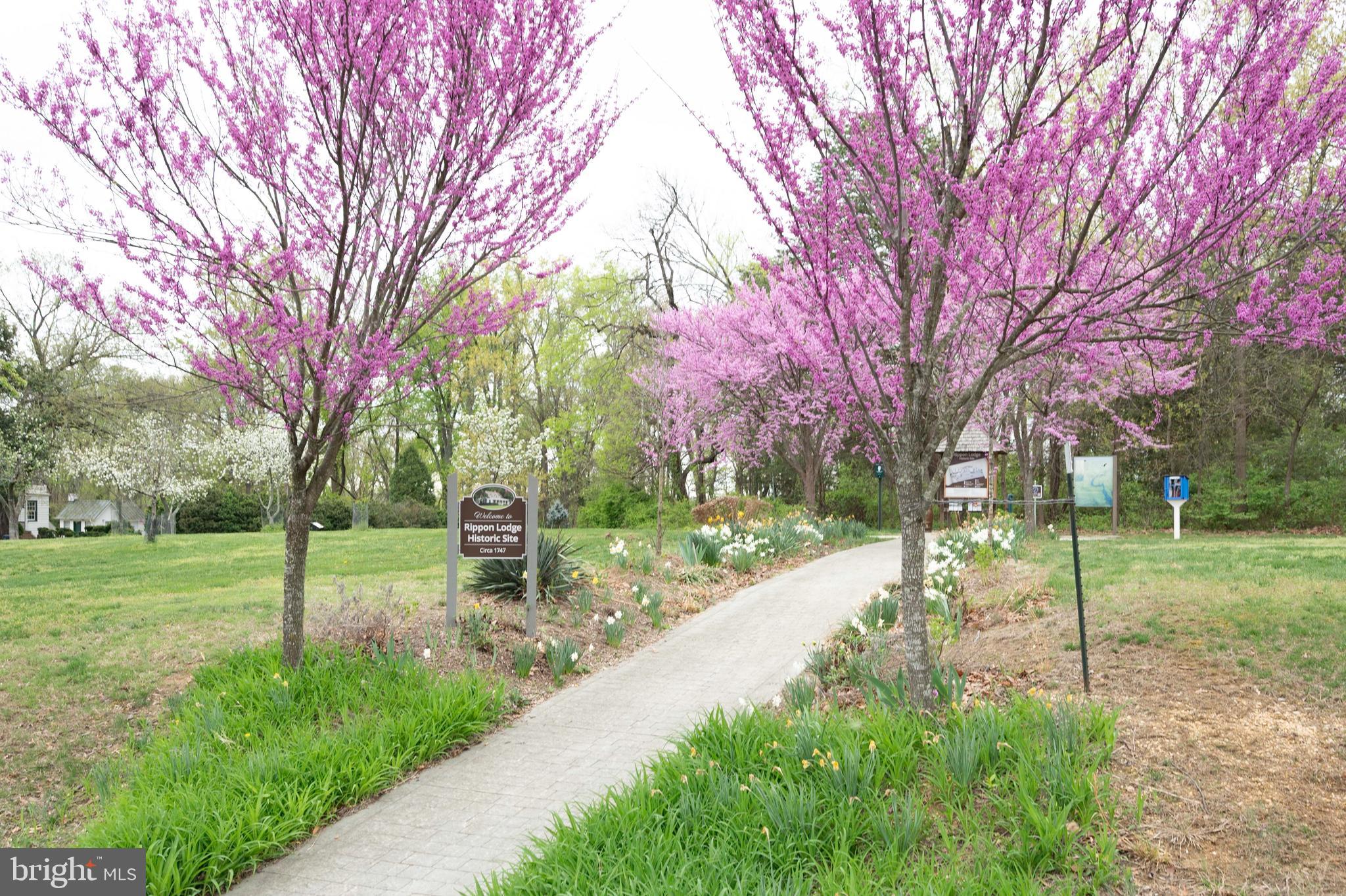 NEWPORT - Residential