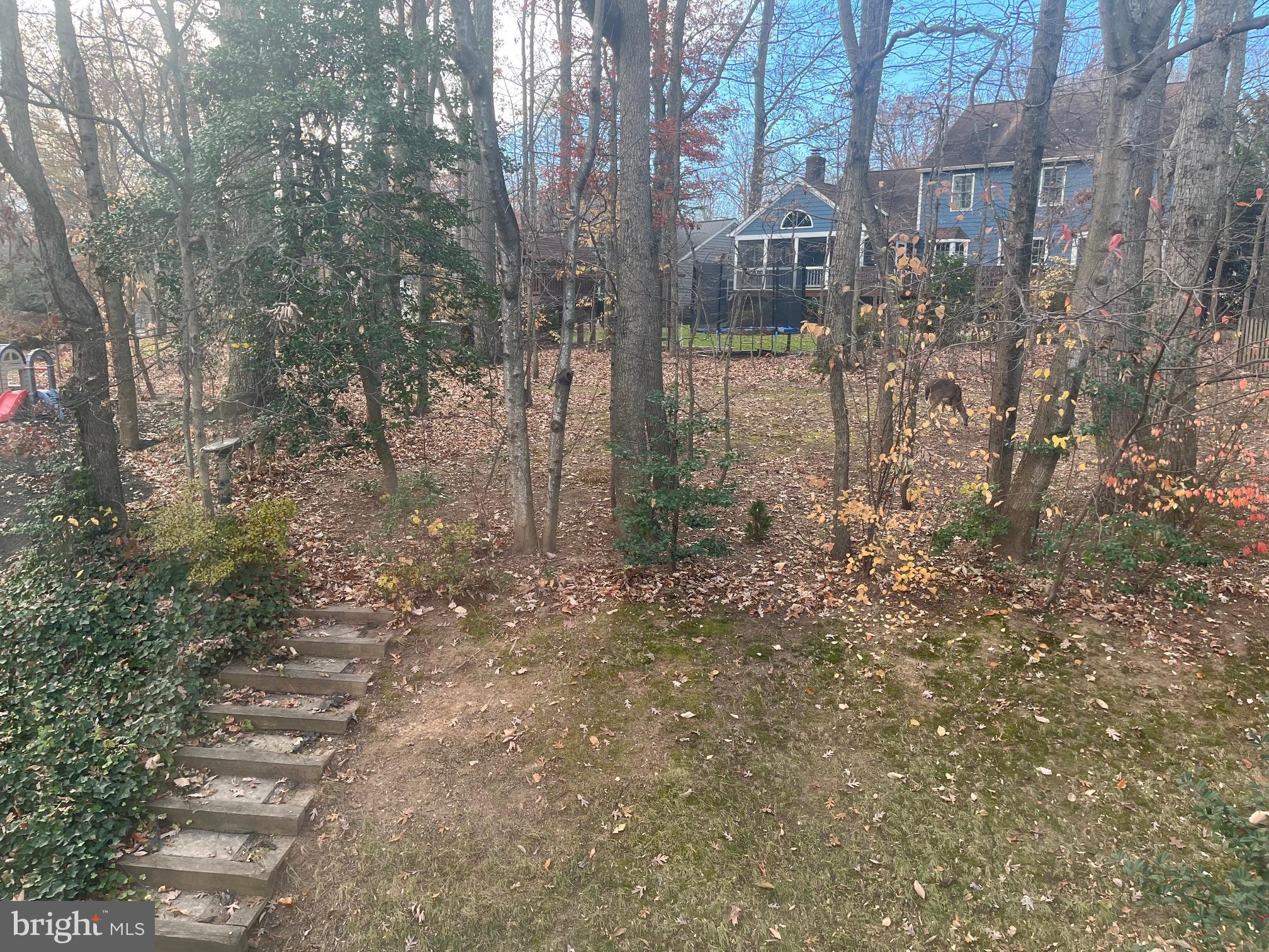 BENNINGTON WOODS - Residential