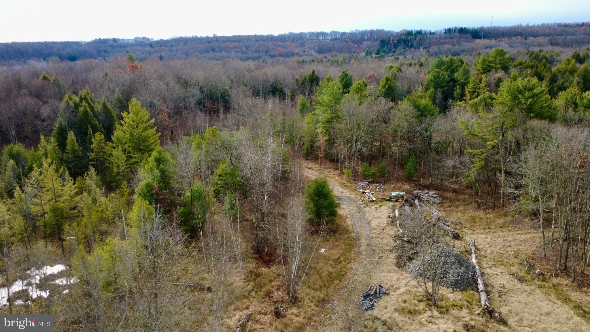 1042 LOWER HOLLOW ROAD