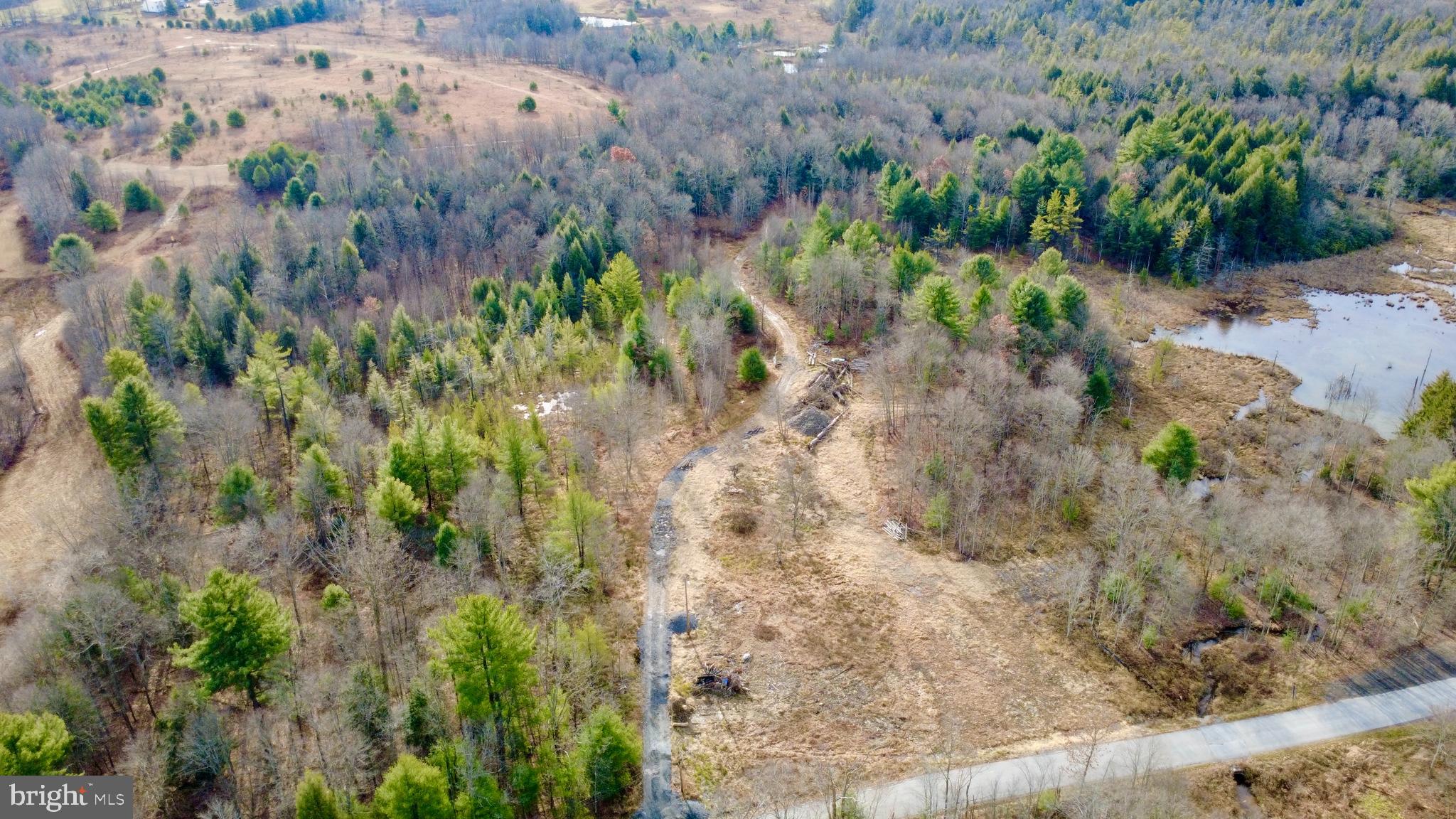 1042 LOWER HOLLOW ROAD