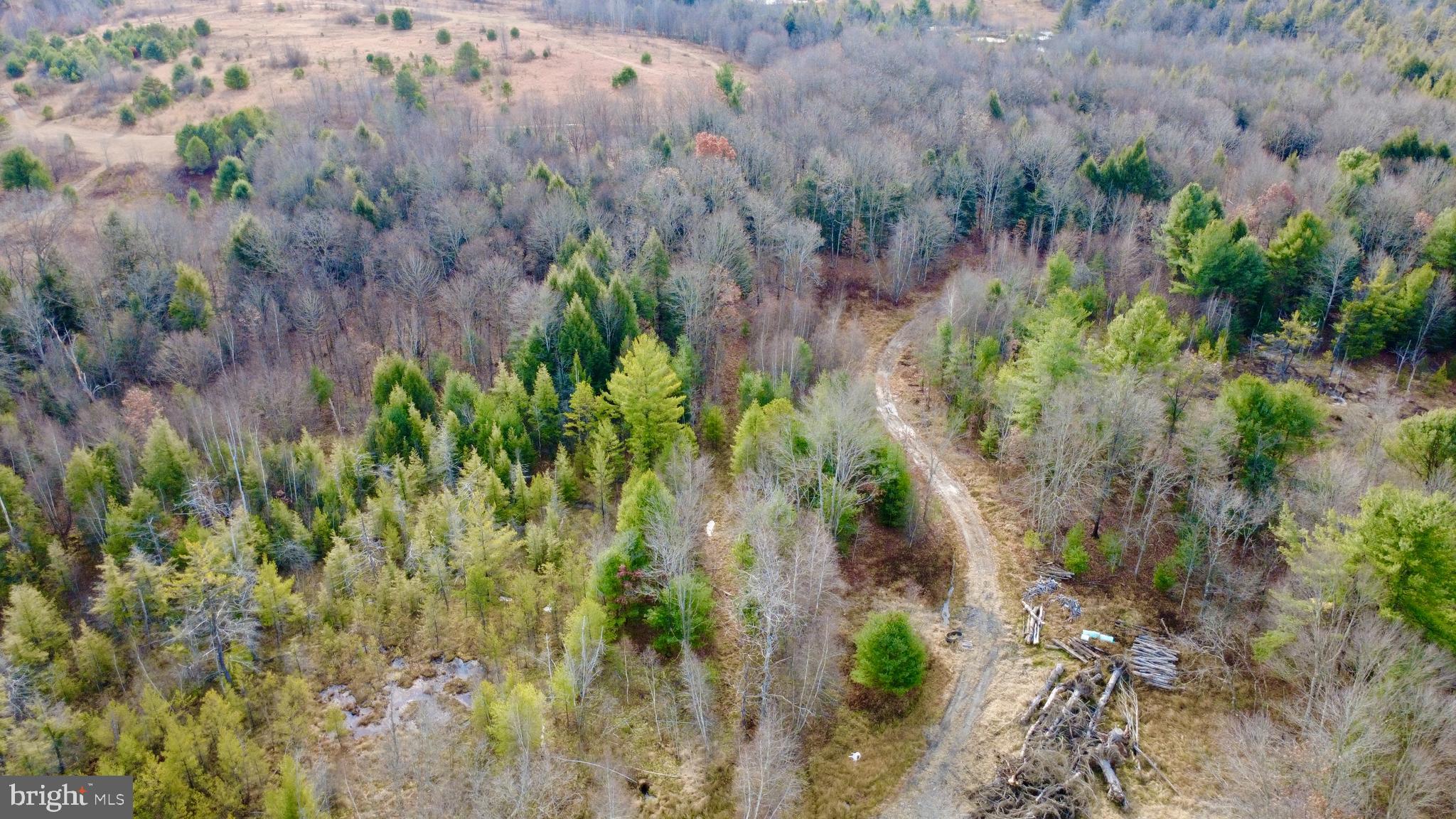 1042 LOWER HOLLOW ROAD