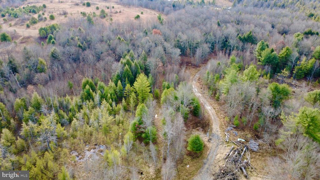 Photo of 1042 Lower Hollow Road, MORRISDALE, PA 16858 (MLS # PACD2045026)