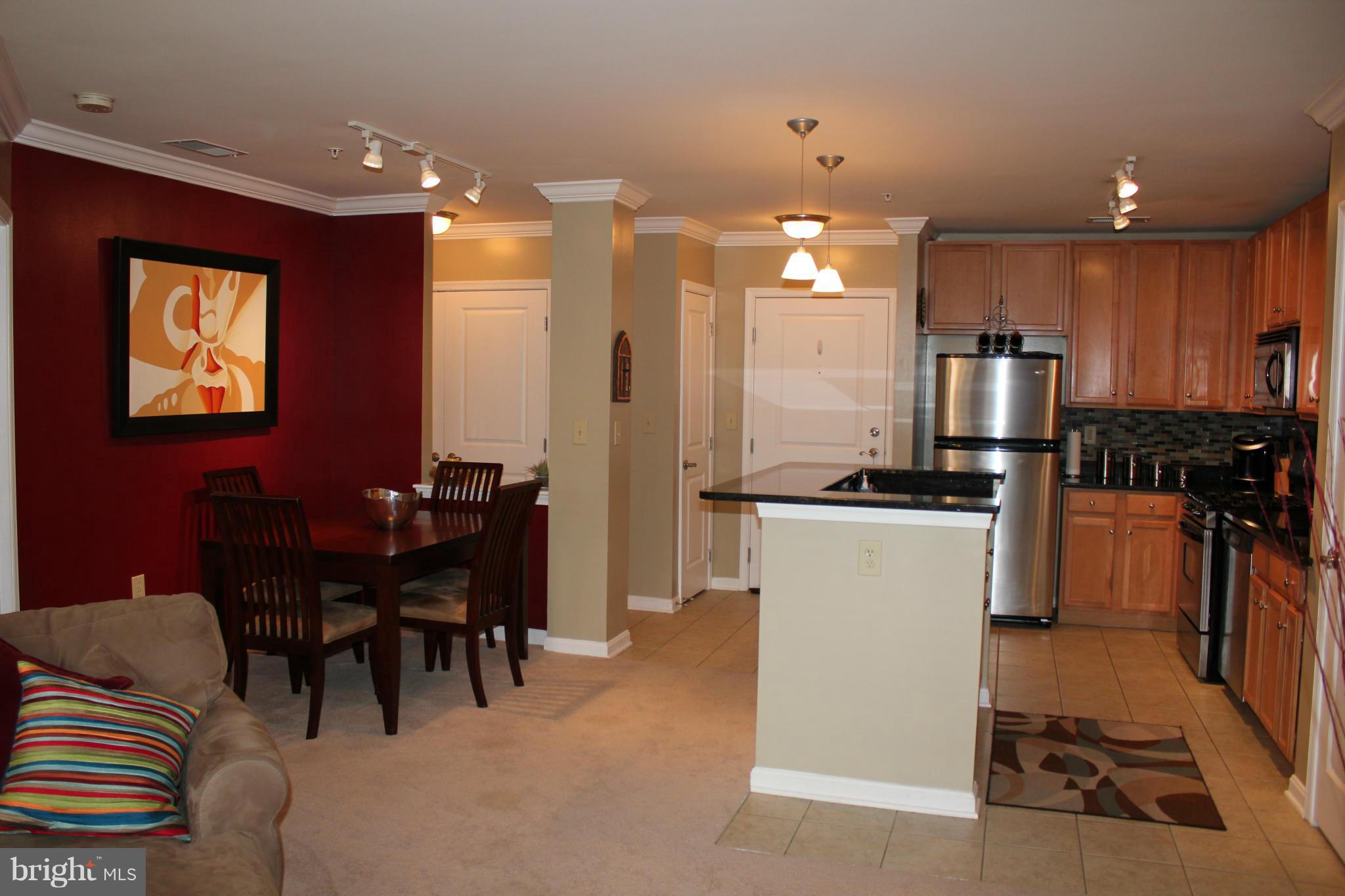 HALSTEAD AT THE METRO - Residential