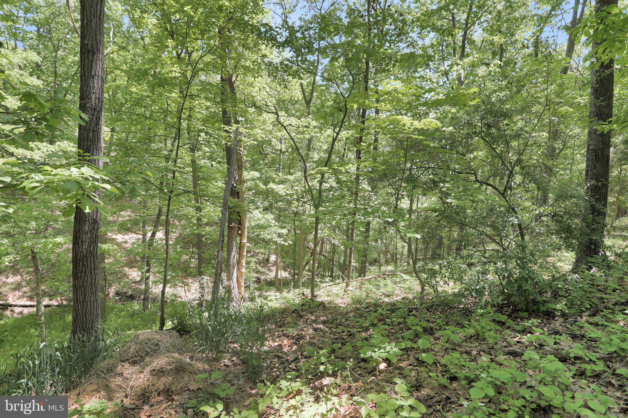 HORSESHOE BEND - Residential