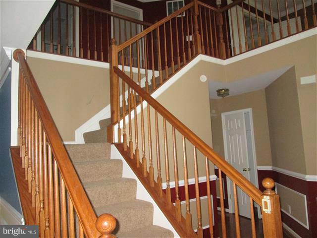 CATTAIL COMMONS - Residential