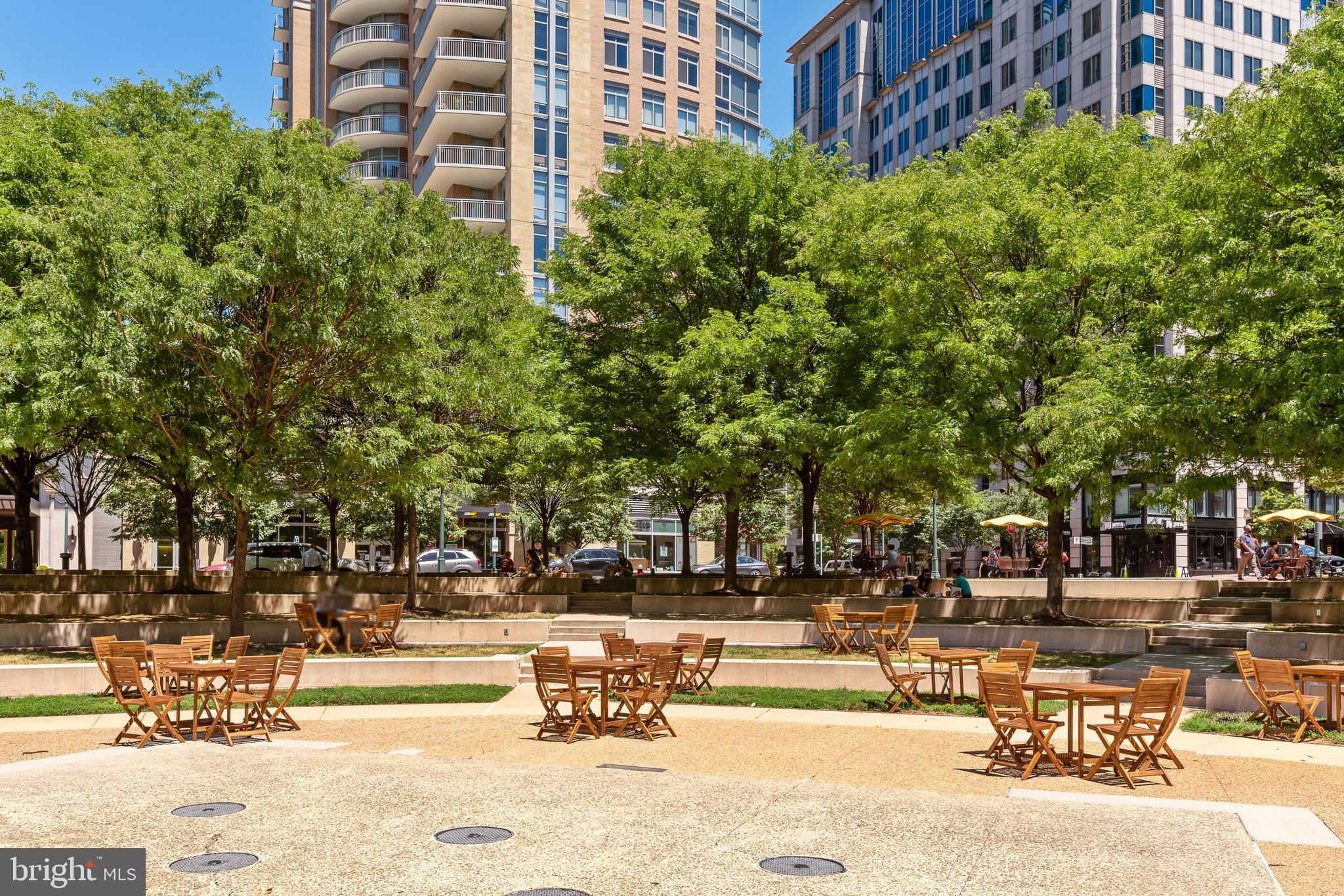 SAVOY AT RESTON TOWN CENTER - Residential