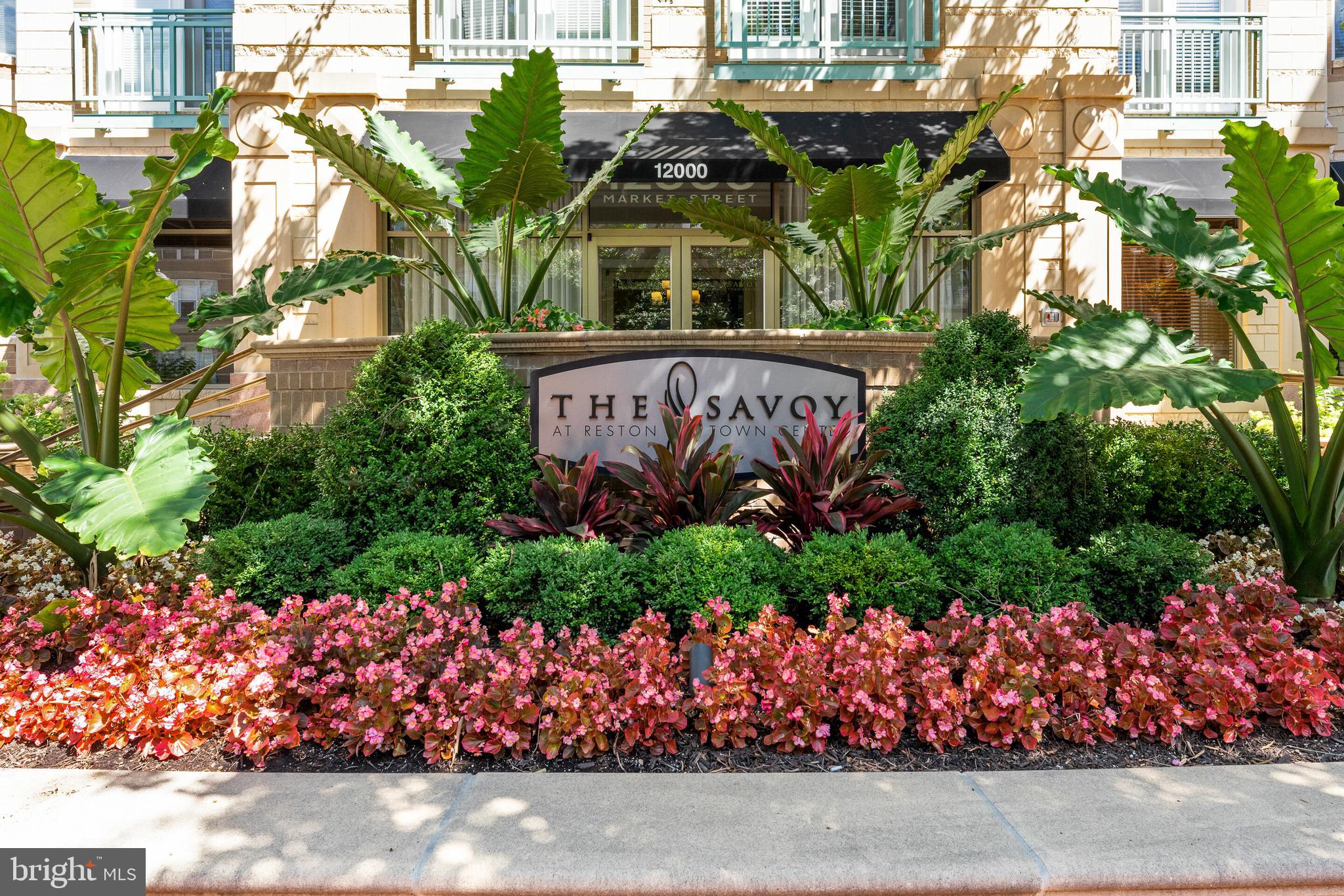 SAVOY AT RESTON TOWN CENTER - Residential