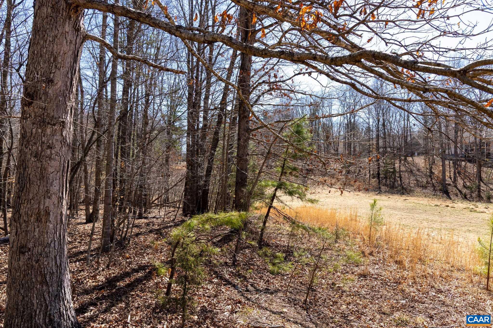 SHENANDOAH CROSSING - Land