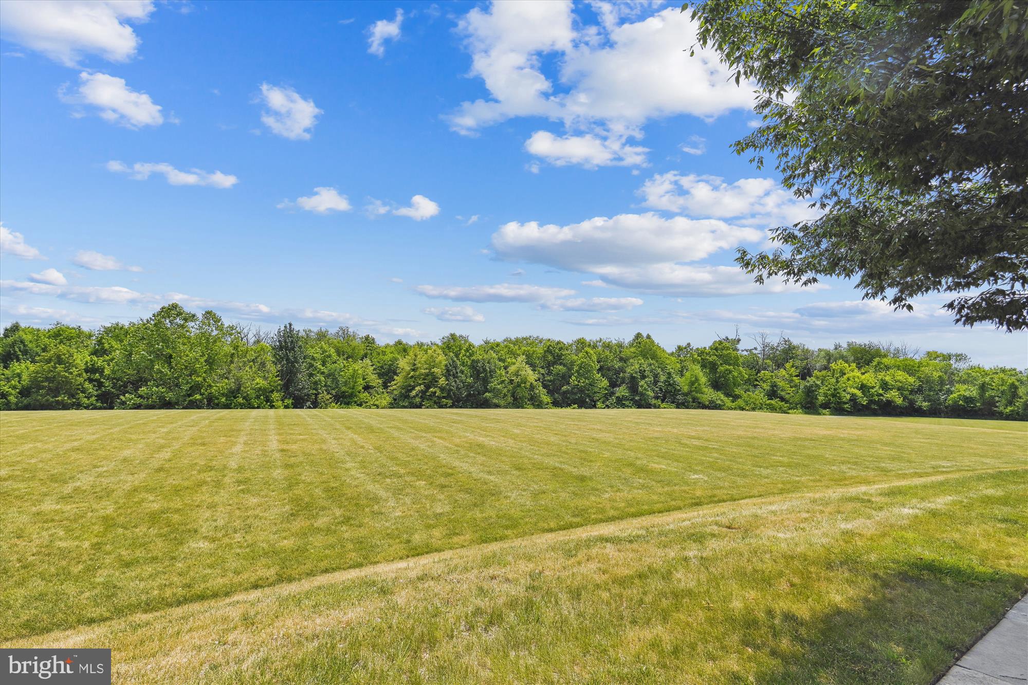 LINTON AT BALLENGER - Residential