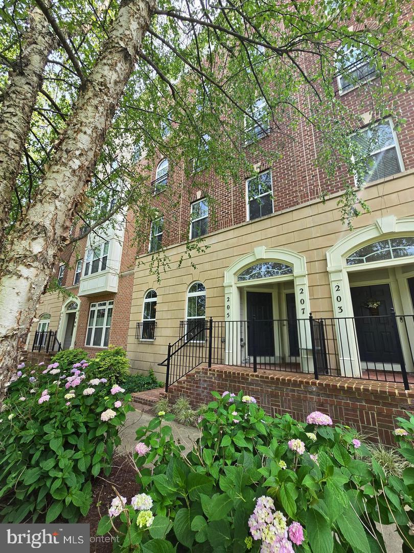 207 COMMUNITY CENTER AVENUE 207