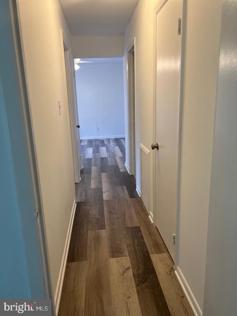 LYNDHURST - Residential