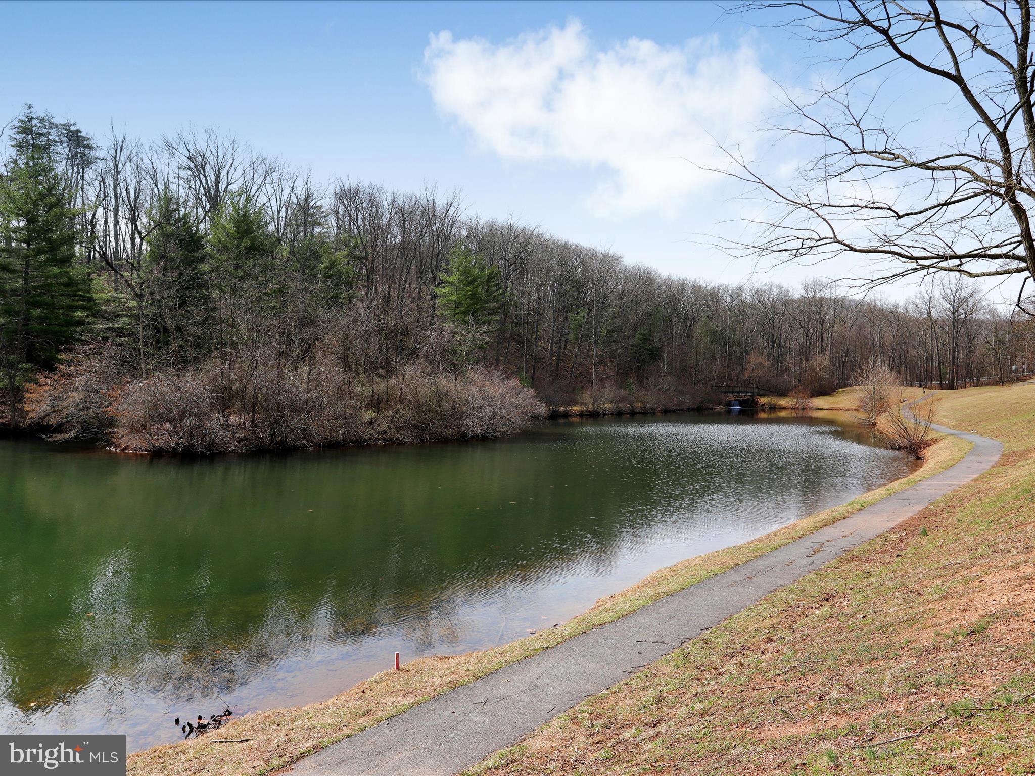 THE WOODS - Residential