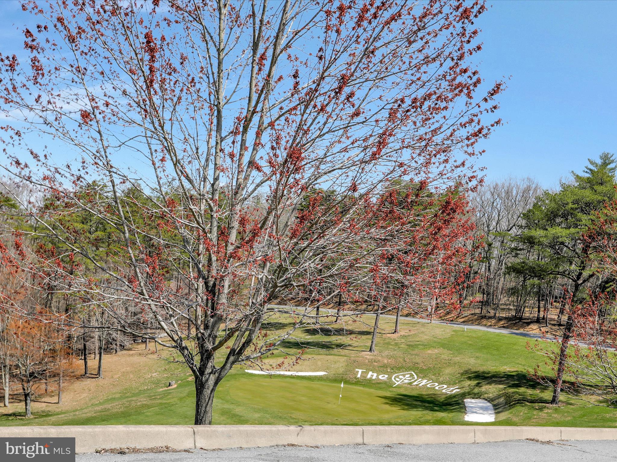 THE WOODS - Residential