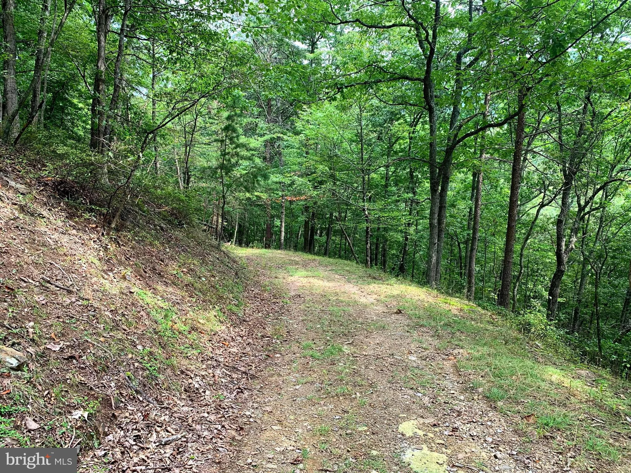 Fort Run Road, Moorefield, WV 26836