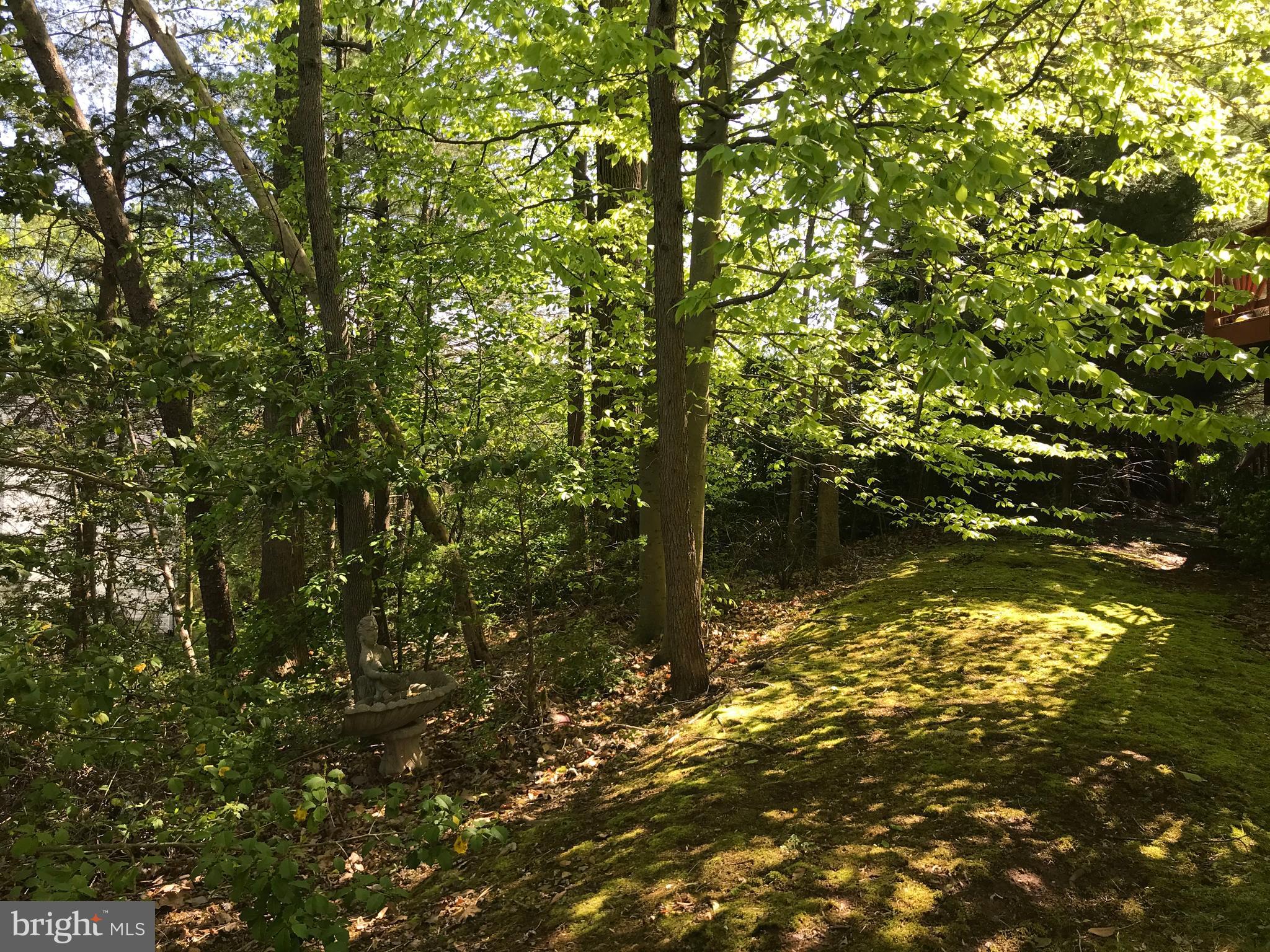 TWIN OAKS FARM - Residential