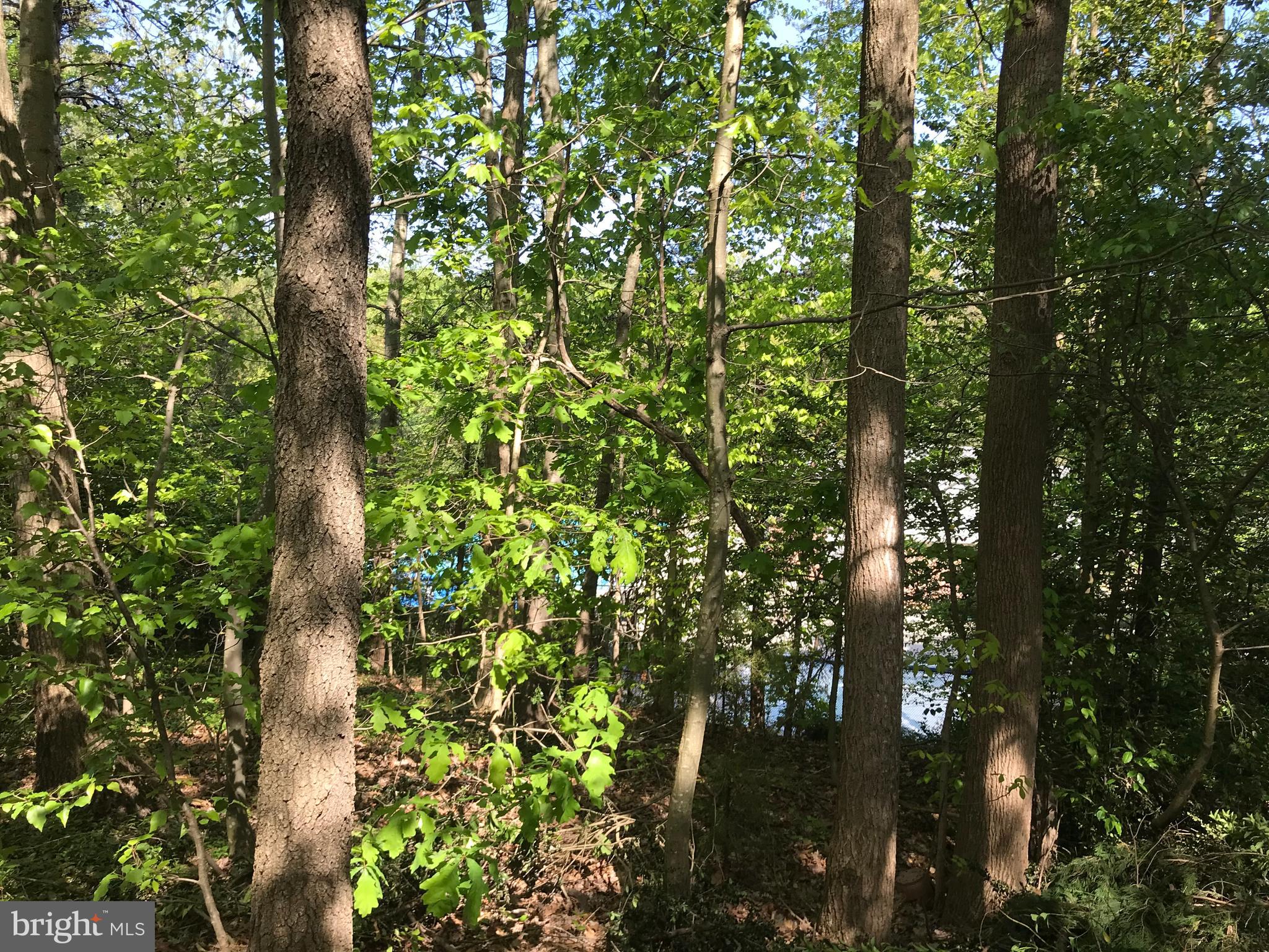 TWIN OAKS FARM - Residential