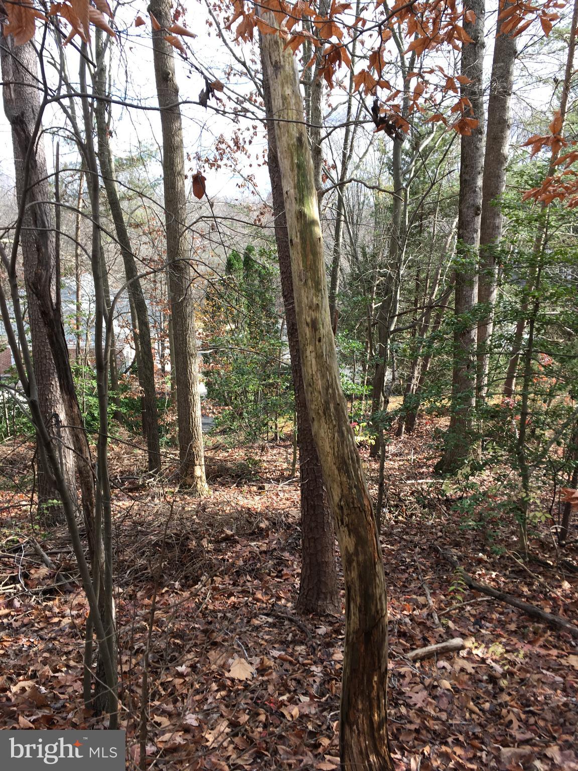 TWIN OAKS FARM - Residential