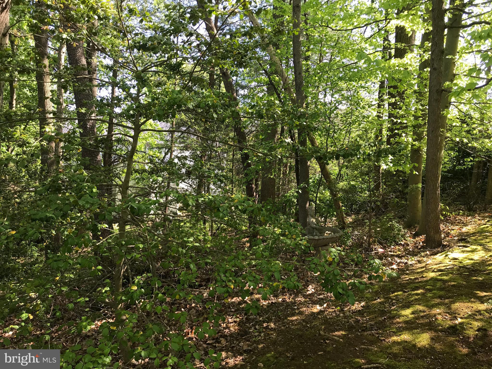 TWIN OAKS FARM - Residential