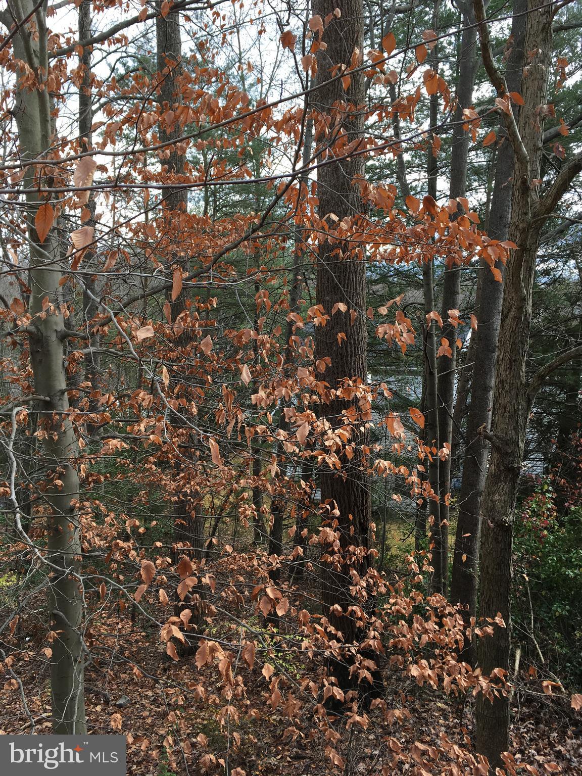 TWIN OAKS FARM - Residential