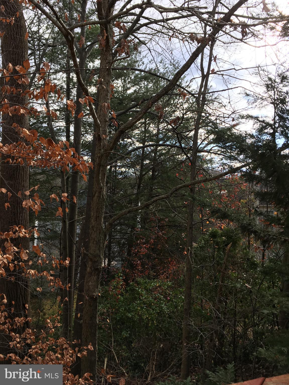 TWIN OAKS FARM - Residential