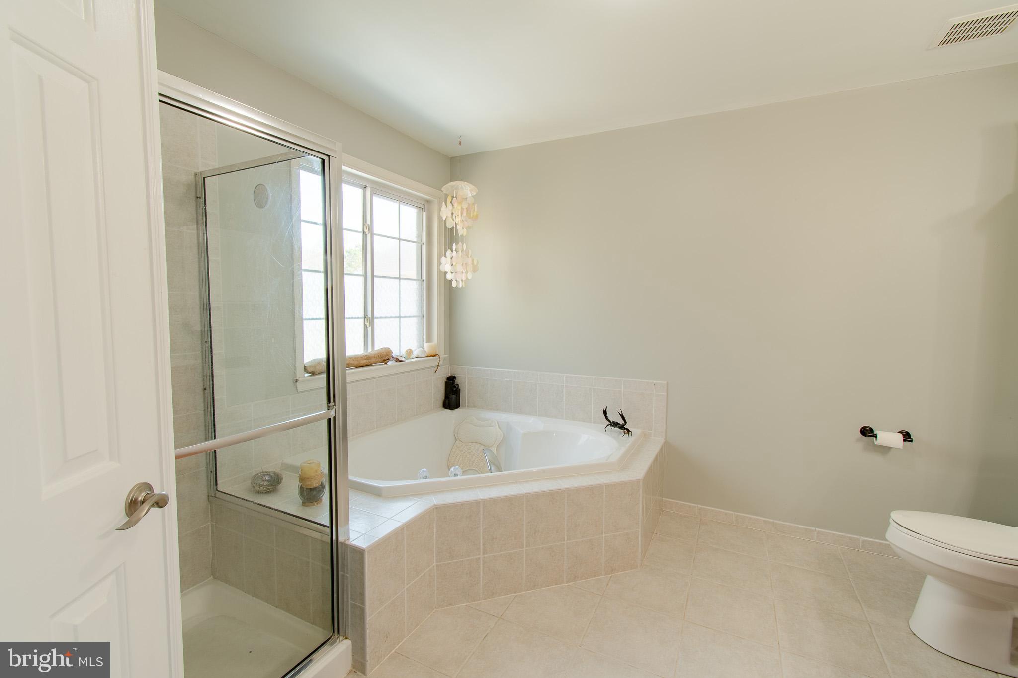 WOODS AT STONEY RIDGE - Residential