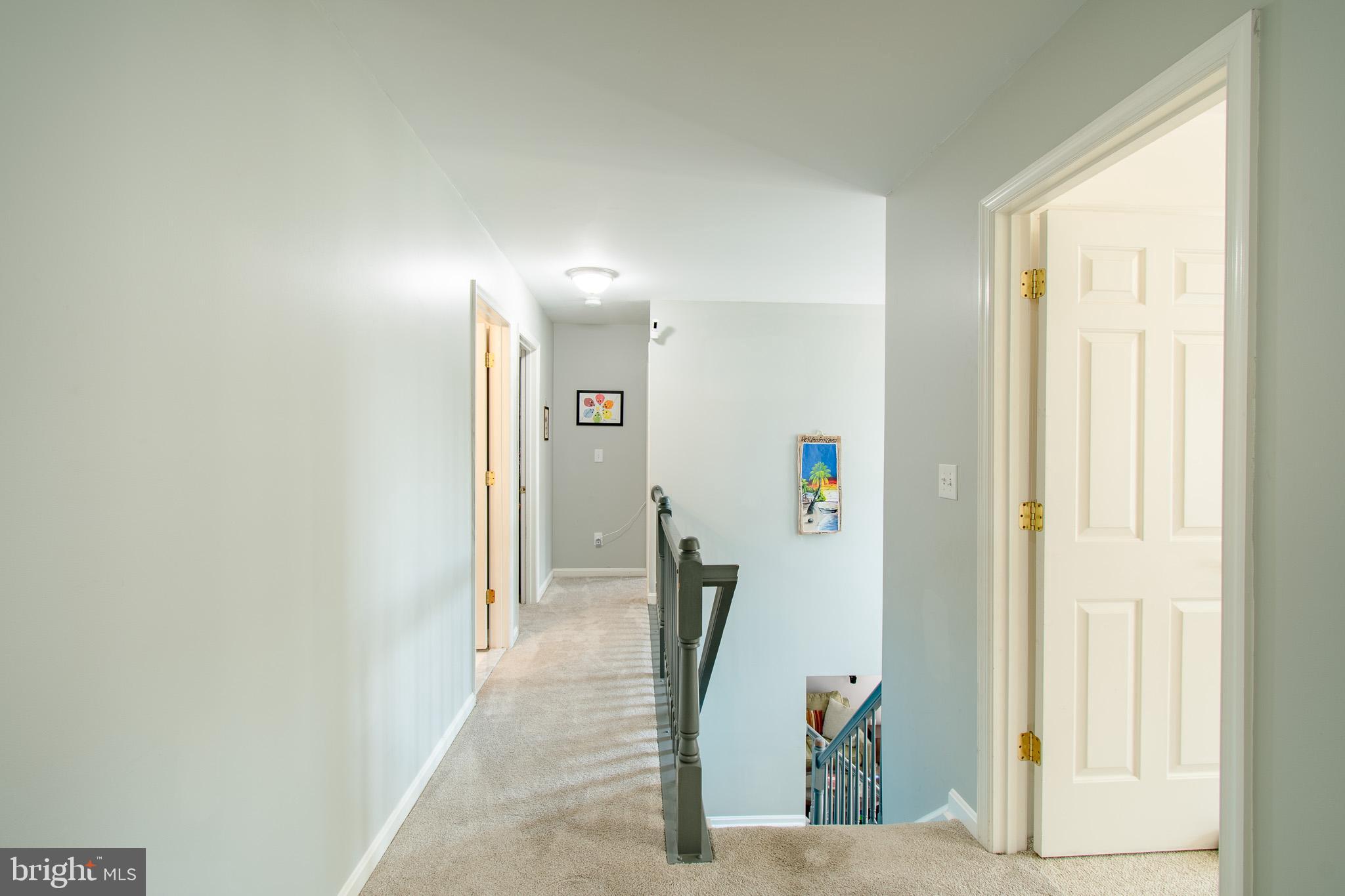 WOODS AT STONEY RIDGE - Residential