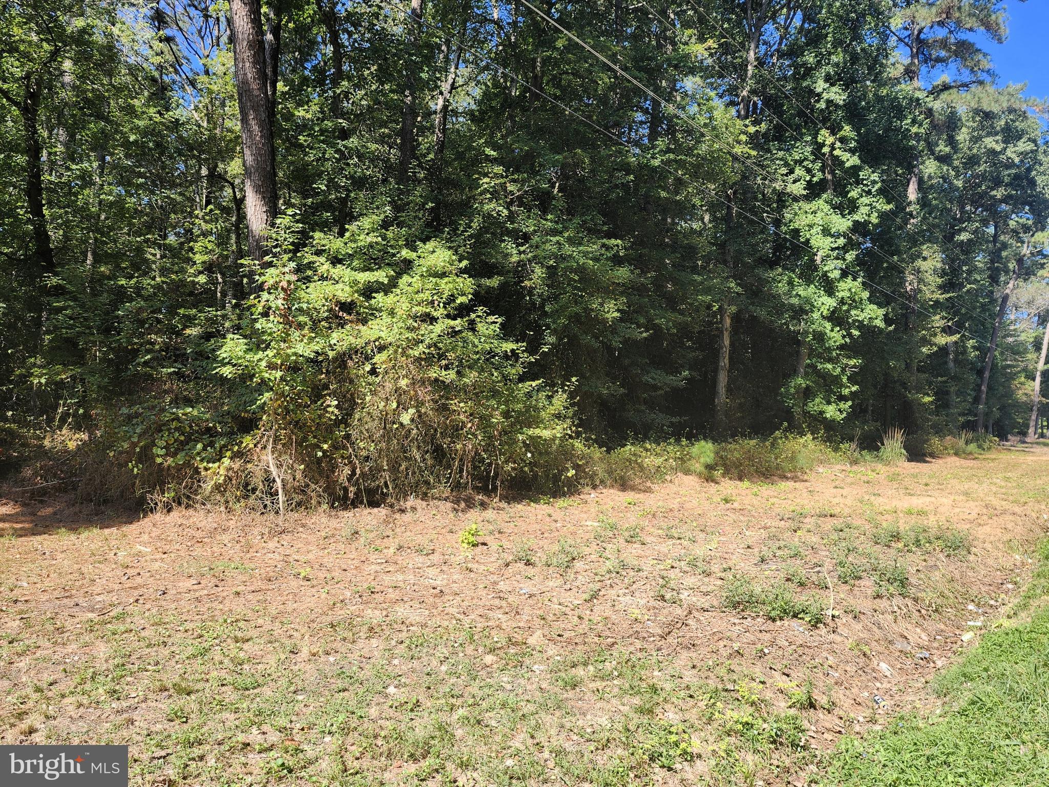 NONE AVAILABLE - Land