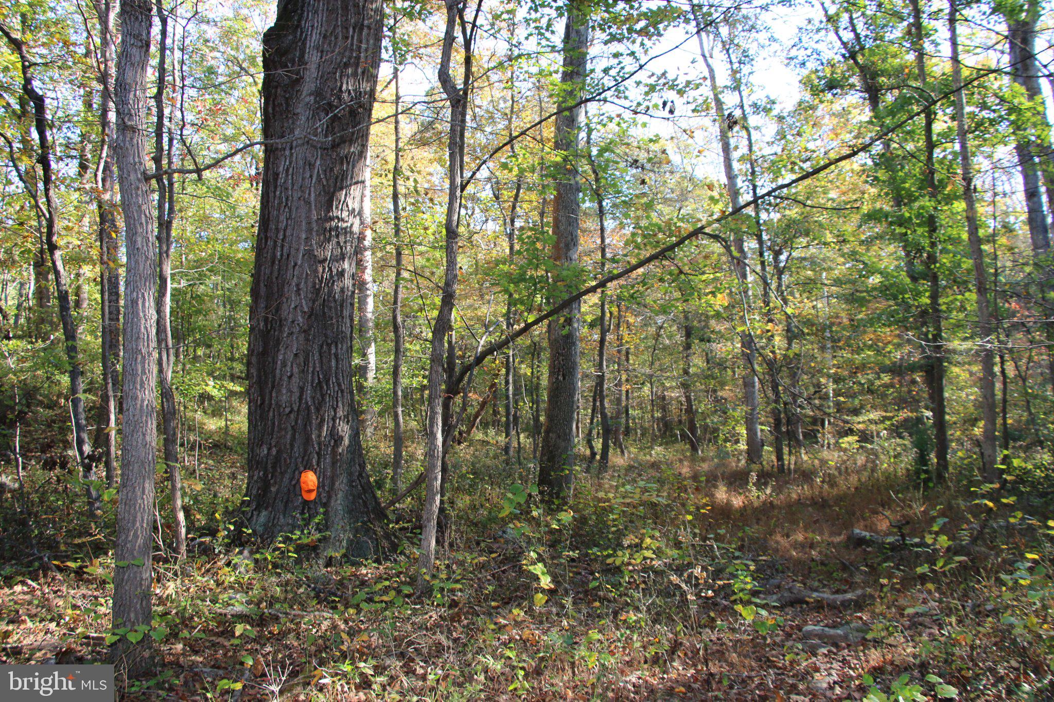 WARDENSVILLE GRADE