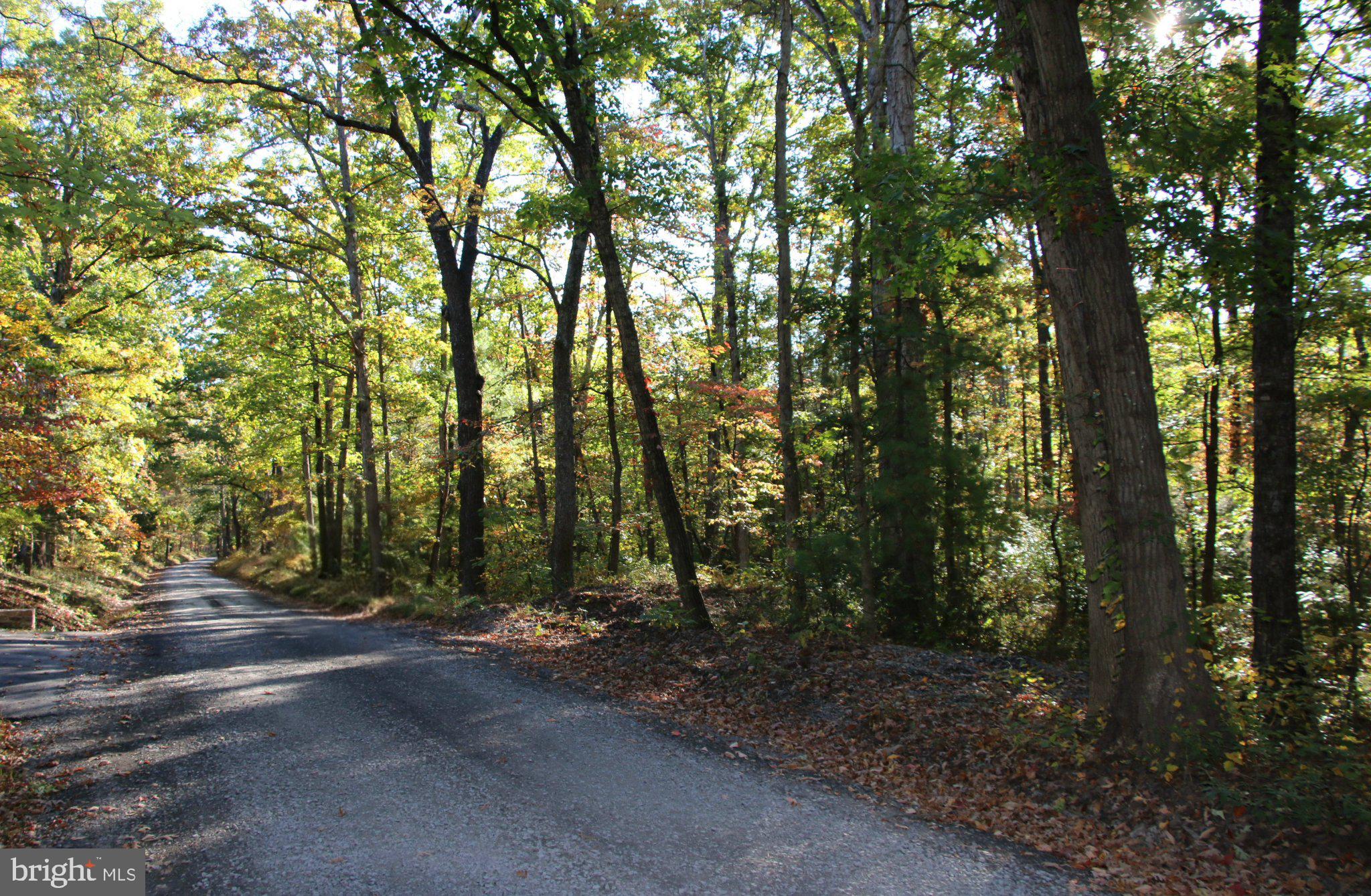 WARDENSVILLE GRADE