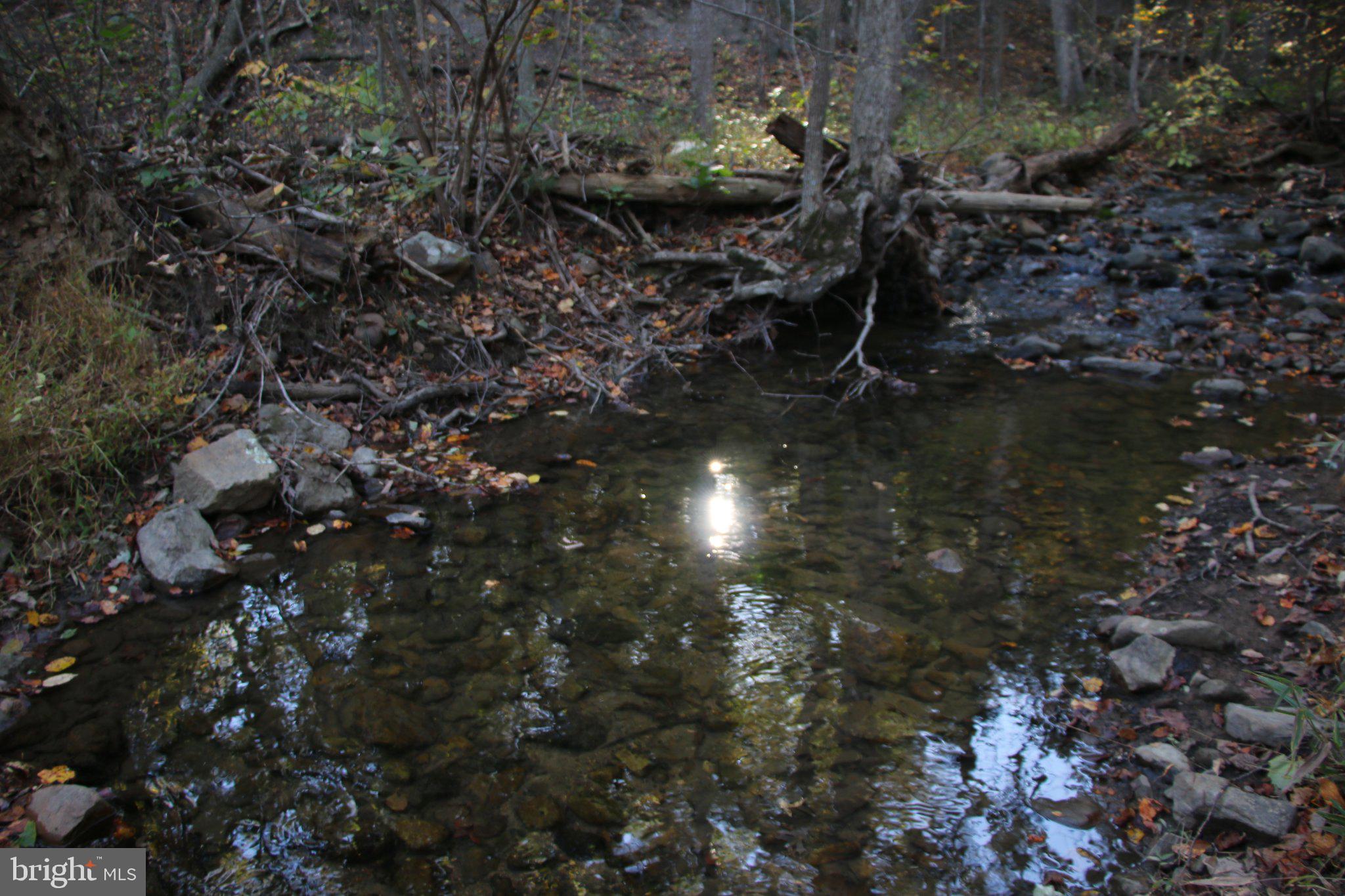 WARDENSVILLE GRADE