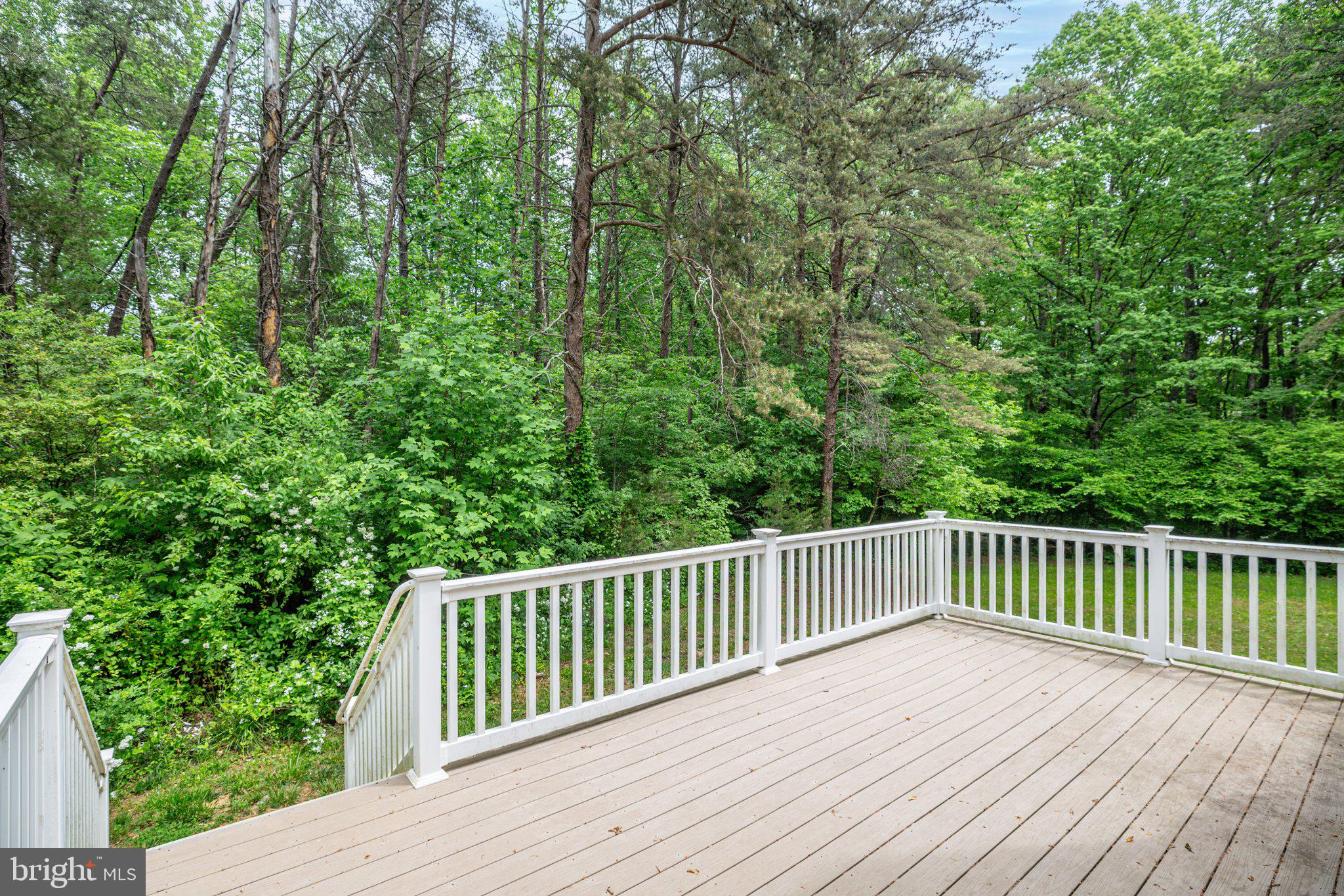 BEREA PLANTATION - Residential Lease