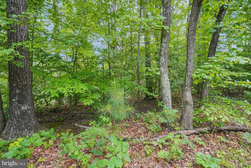 Complete your dream house on this corner lot in Chesapeake Ranch Estates!  The land is .35 acres of wooded space that is part of a private community near the Solomon Islands.  The community includes a private access lake, Lake Lariat, and two private beaches on Chesapeake Bay:  Driftwood and Seahorse.  Among other amenities are a clubhouse, trails, horseshoe fields, and a private campground.  Fly to your Calvert County home using the community-maintained airport, and enjoy the amenities of a resort.  The land has not been perc tested, but this a retreat home that offers so much.