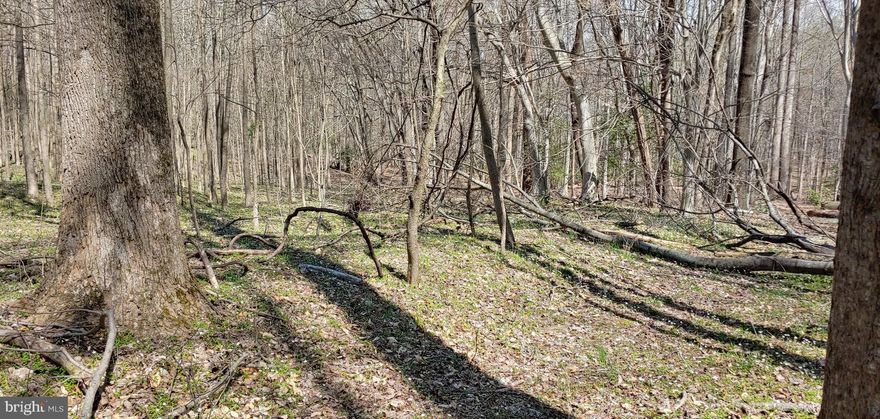 This 9.49 Acre parcel is situated adjacent to the new development of  Windsor Manor a subdivision of 89 new homes.  This parcel has both water and sewer available to it and will be subject to a front foot benefit assessment ($765.00 annually). A serene setting, yet easy access to Rte 210.  Access from Cador Pl. or Creedon Drive. Buyer to do own Due Diligence. Well priced and well worth a look. Enter the site at your own risk, falling and downed trees. This lot is not a part of the  Windsor Manor HOA.