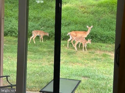 FORGE MOUNTAIN - Residential Lease