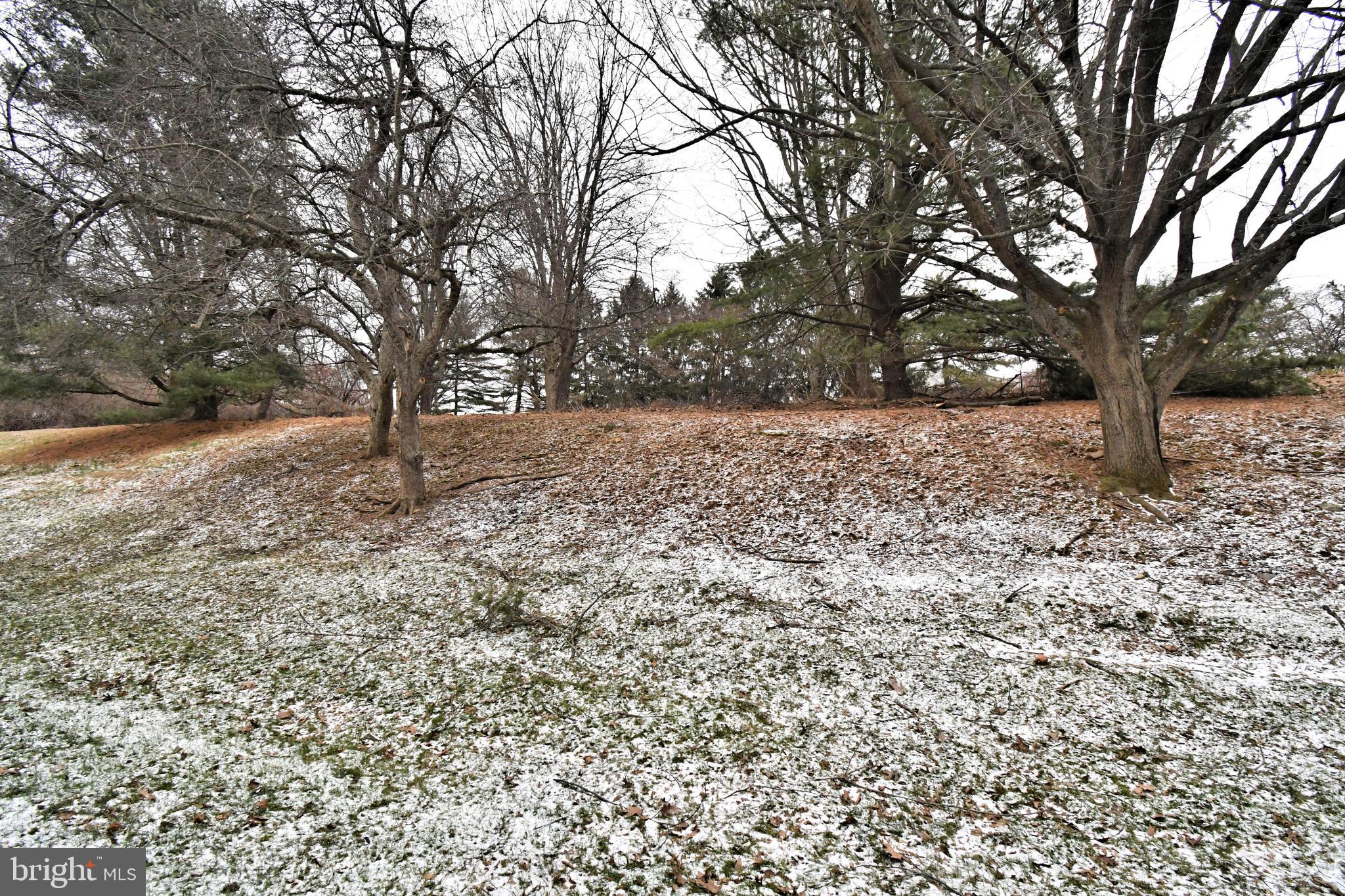 FORGE MOUNTAIN - Residential Lease