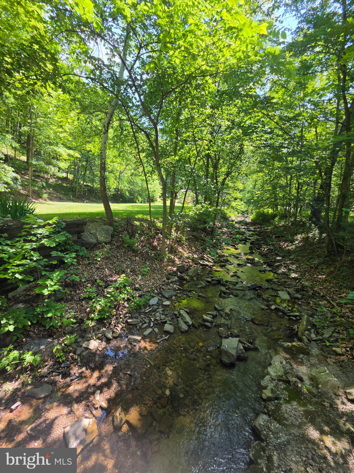 1981 BUFFALO HOLLOW ROAD