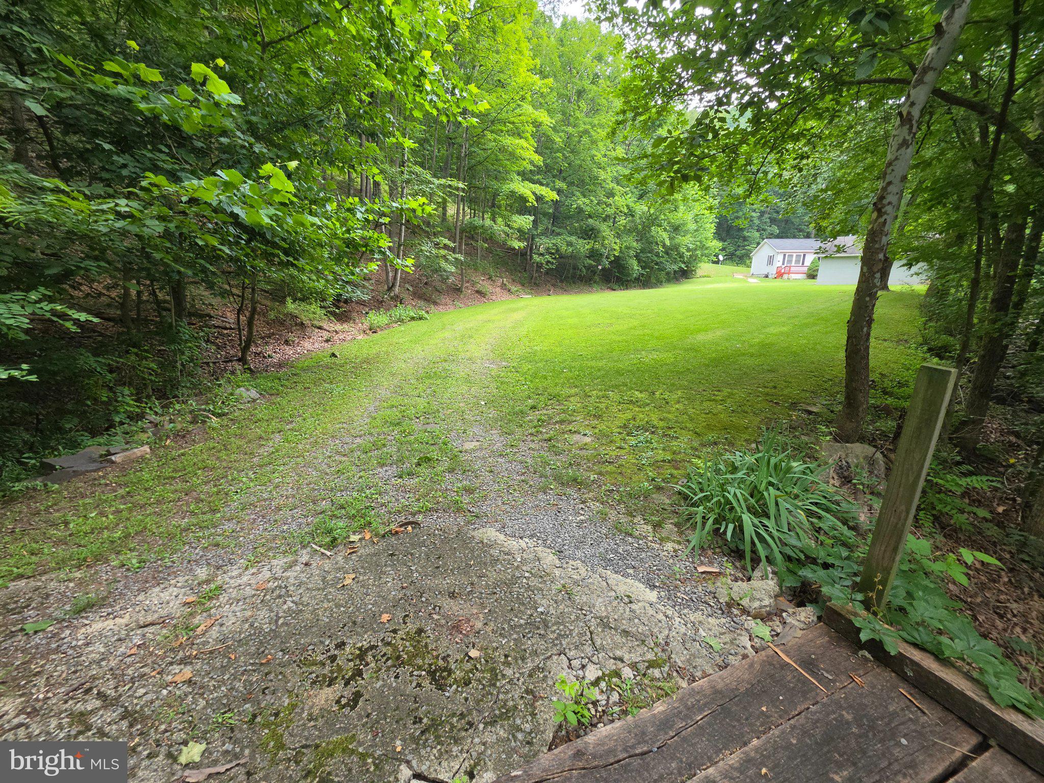 1981 BUFFALO HOLLOW ROAD