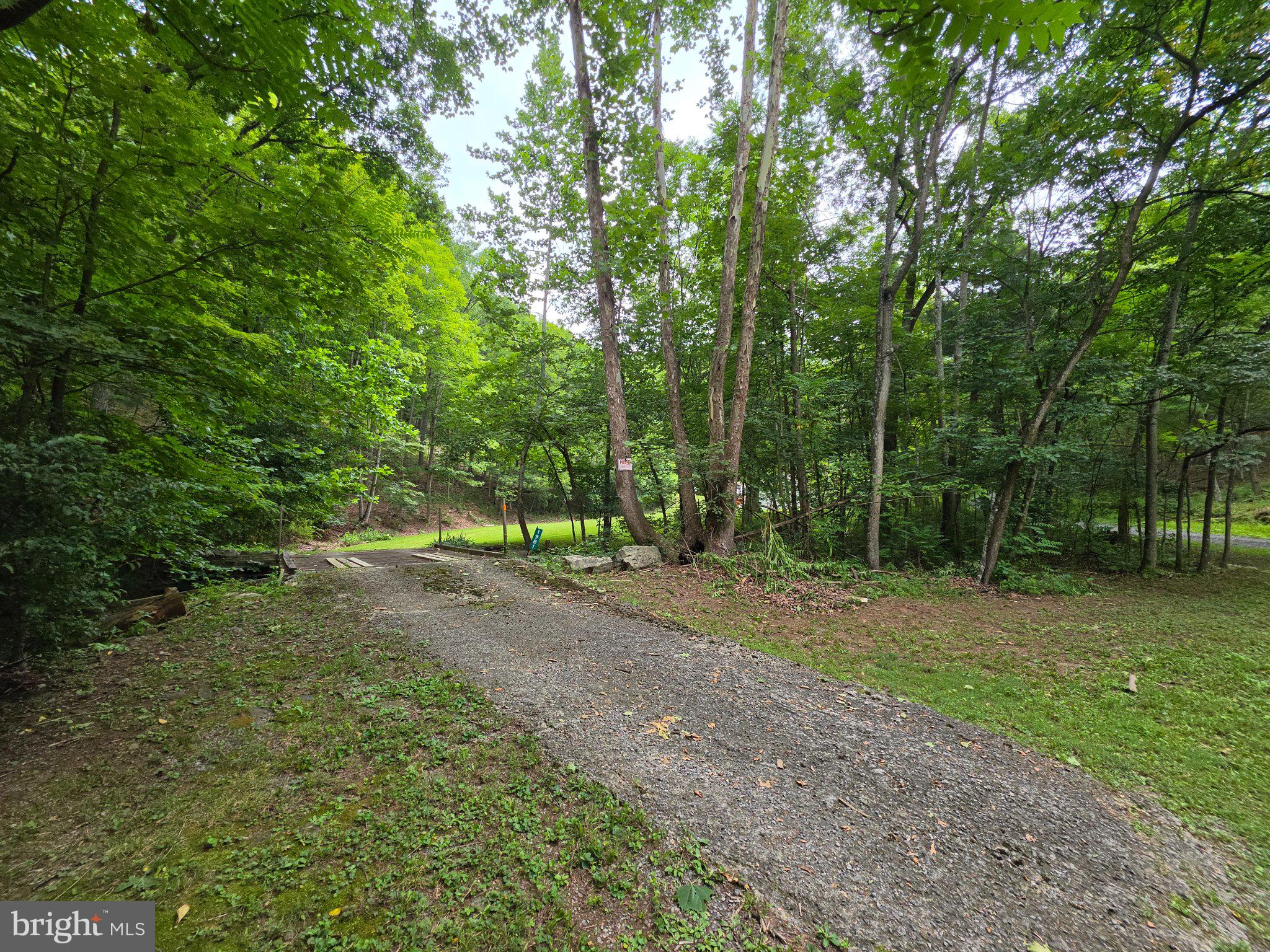1981 BUFFALO HOLLOW ROAD