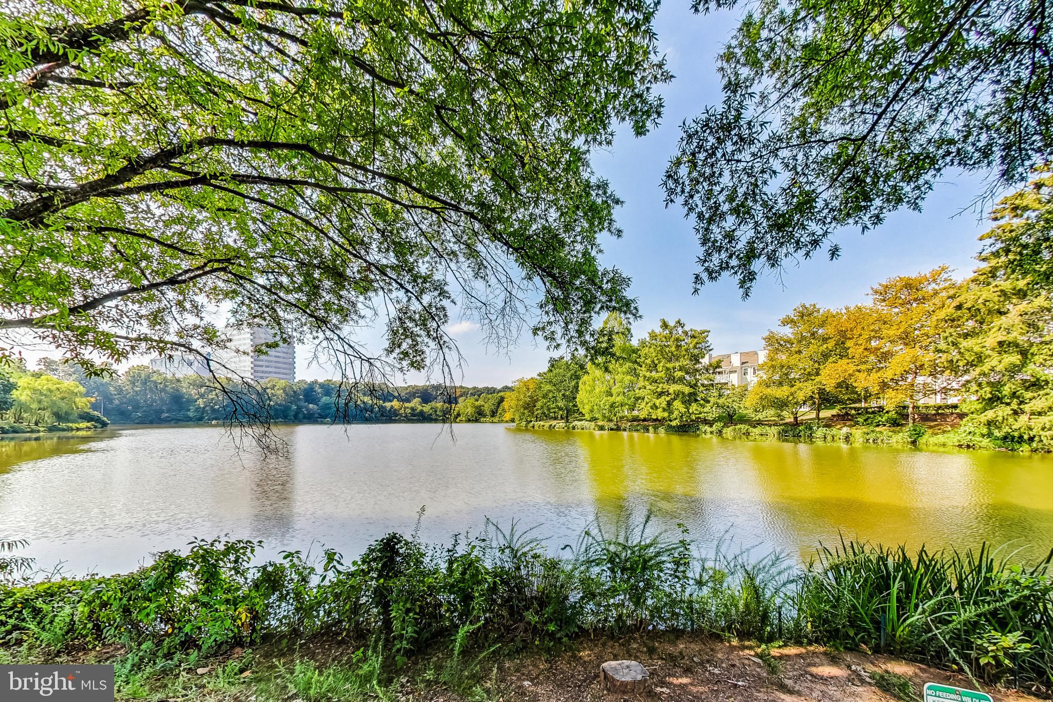 LAKEFORD - Residential