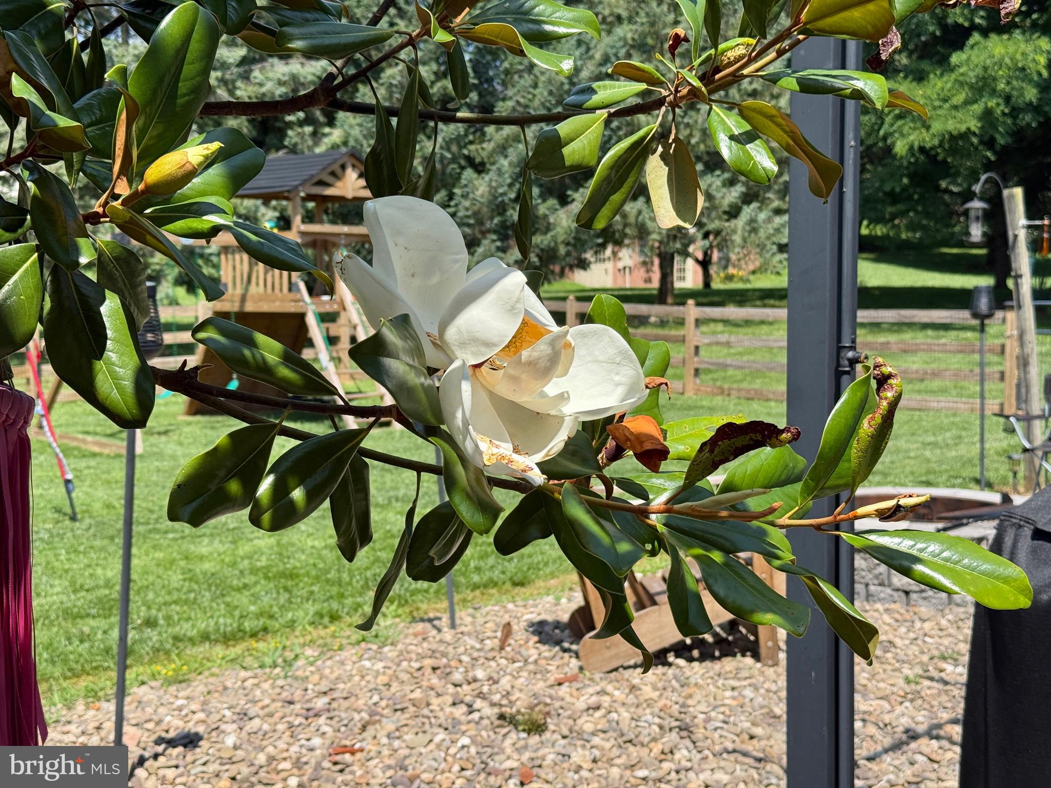 EAGLE RIDGE - Residential