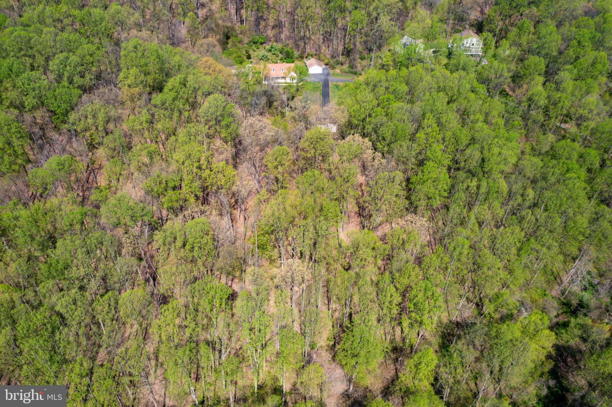 GRIER NURSERY FARMS - Residential