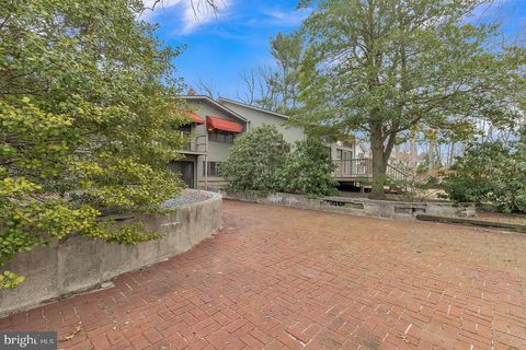 listing image 40