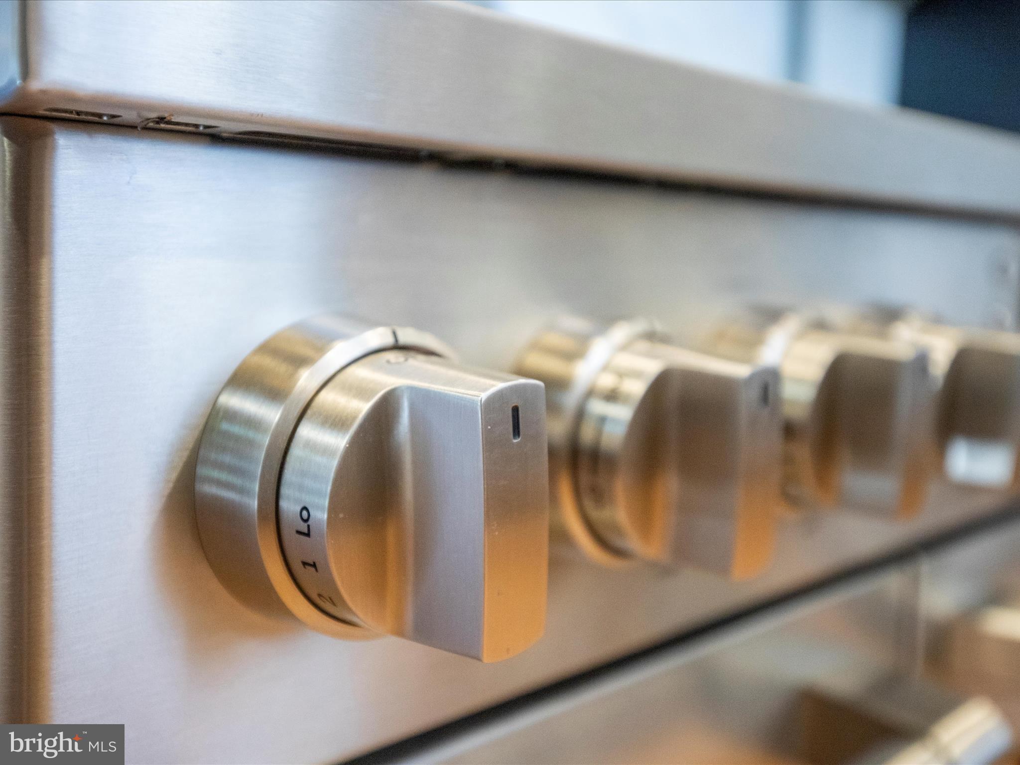 HISTORIC FREDERICK CITY - Residential